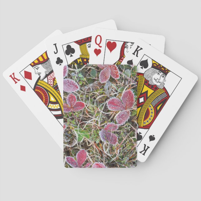 Frostbedeckte Blätter, Kanada Spielkarten (Rückseite)