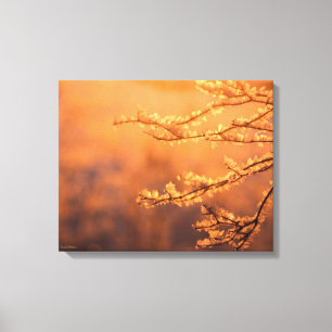 Frostbedeckter Zweig in Morgenlicht Leinwanddruck