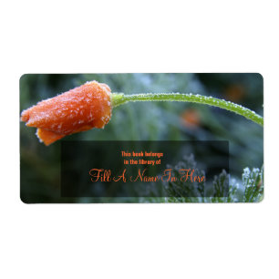 Frosted California Poppy Book Identification