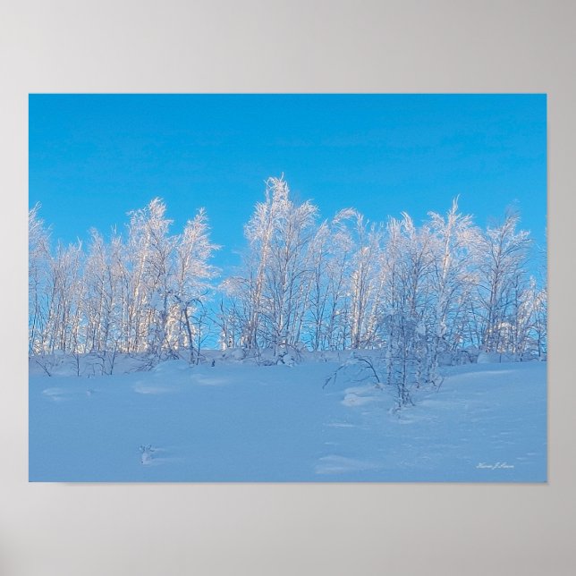 Frosted Trees Poster (Vorne)
