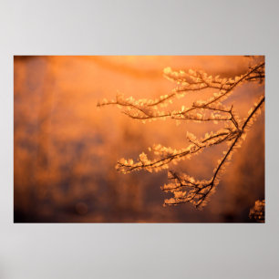 Frostflakes mit Morgensonnenaufgang Poster