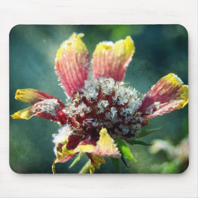 Frostige Blume Mousepad (Vorne)