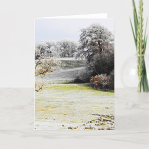 Frostige Felder und Bäume Feiertagskarte