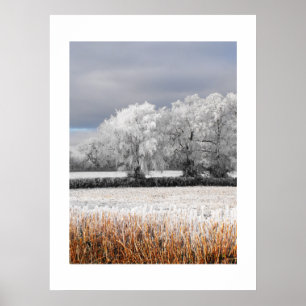 Frostige Felder und Bäume Poster