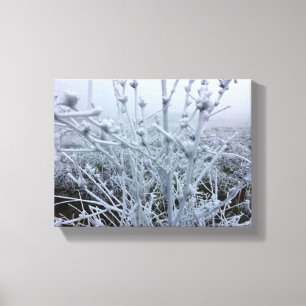 Frostige Pflanze Winterlandschaft Leinwanddruck