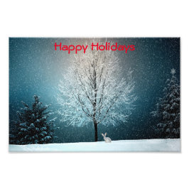 Frostiger Baum im Abend Fotodruck