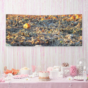 Frostiger Kürbisflicken  Banner
