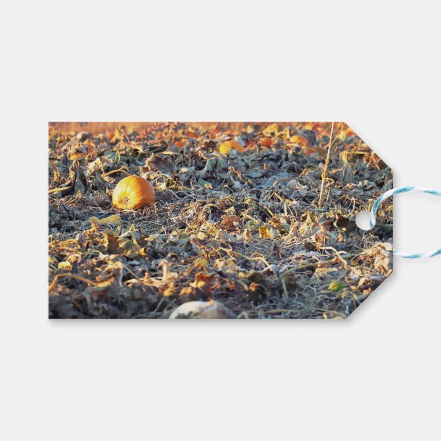 Frostiger Kürbispatch  Geschenkanhänger (Vorderseite (Horizontal))