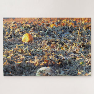 Frostiges Kürbisfeld Puzzle