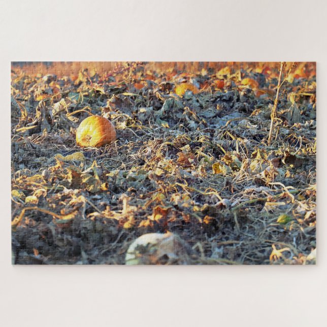 Frostiges Kürbisfeld  Puzzle (Horizontal)