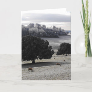 Frostmorgens Feiertagskarte