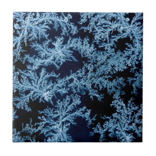 Frostmuster aus der Nähe, Kalifornien Fliese