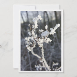  „Frostpoesie – Einladung mit Raureif-Zweig“