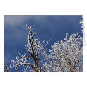 Frosty Iowa Nachmittag