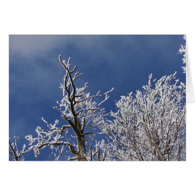 Frosty Iowa Nachmittag (Vorderseite (Horizontal))