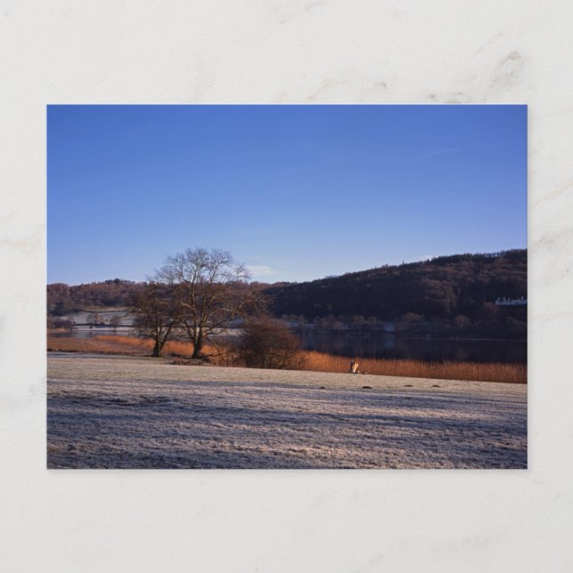 Frosty Morgens Esthwaite Water Cumbria England Postkarte (Vorderseite)