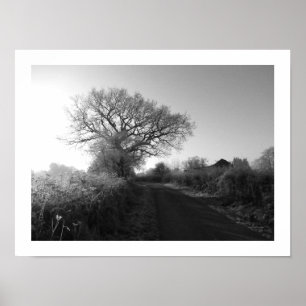 Frosty Morning: Cheshire Poster