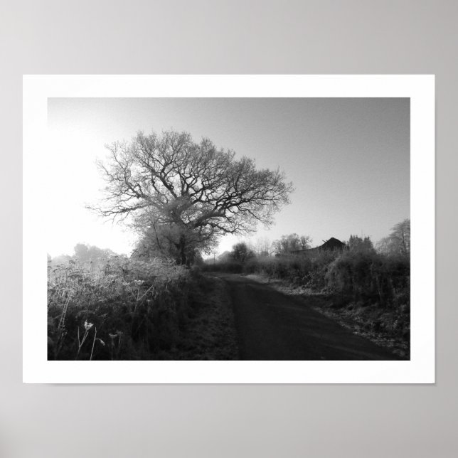 Frosty Morning: Cheshire Poster (Vorne)