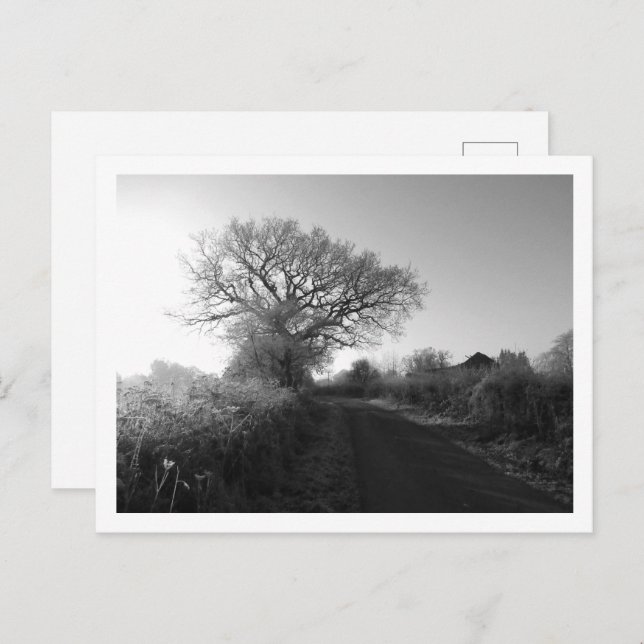 Frosty Morning: Cheshire Postkarte (Vorne/Hinten)