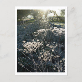 Frosty Morning in Cheshire Postcard Postkarte