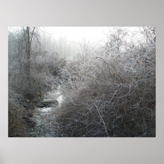 Frosty Morning on Price Road Poster (Vorne)