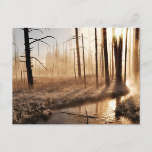 Frosty Yellowstone Morning Postkarte