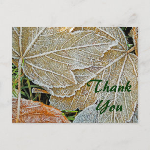 Frozen Ahorn Danke, Postcard Postkarte