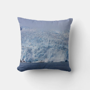 Frozen Beauty Kissen