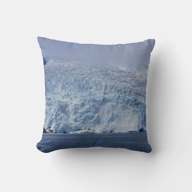 Frozen Beauty Kissen (Vorderseite)