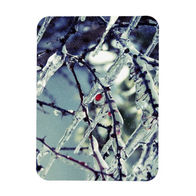 Frozen Berry Premium Magnet (Vertikal)