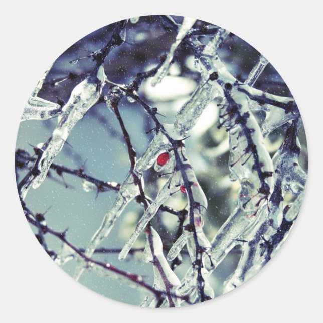 Frozen Berry Sticker (Vorderseite)