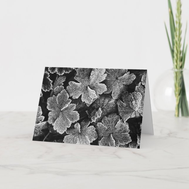 Frozen Blätter Weihnachtskarte Feiertagskarte (Vorderseite)