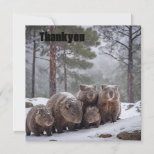 Frozen Burrow: Australian Wombat Family Dankeskarte