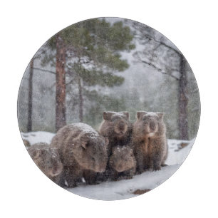 Frozen Burrow: Australian Wombat Family, Schneidebrett