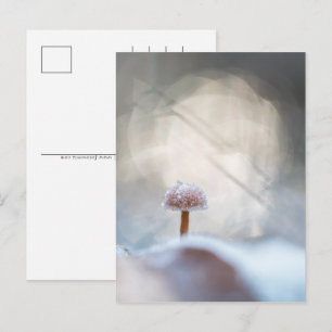 Frozen Mushroom Photo Feiertagspostkarte