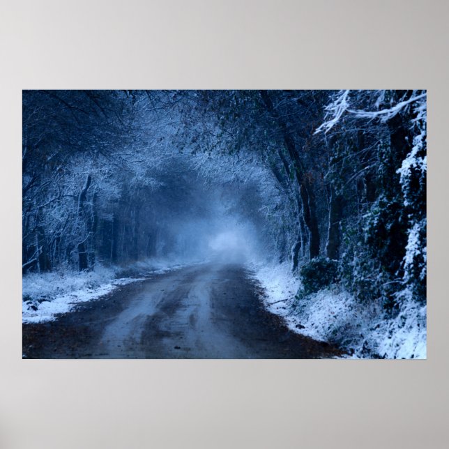 Frozen Poster (Vorne)