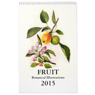 Frucht 2015 kalender