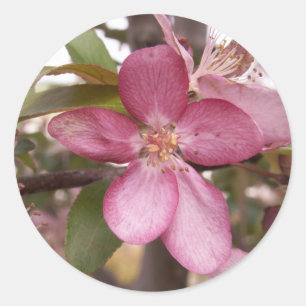 Frucht-Blüten-Aufkleber Runder Aufkleber