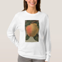 Frucht Chromo Lithographie von Belleflower Apple