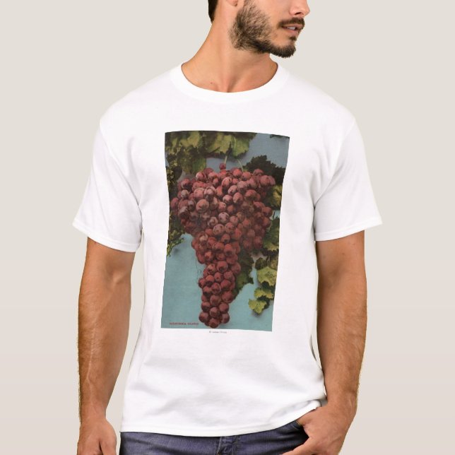 Frucht Chromo Lithographie von Kalifornien-Trauben T-Shirt (Vorderseite)