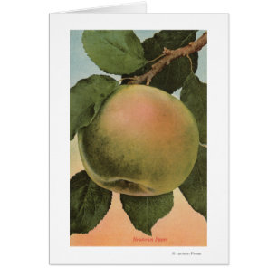 Frucht Chromo Lithographie von Newtown Pippen