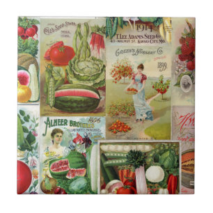 Frucht-und Veggies-Samen-Katalog-Collage Fliese
