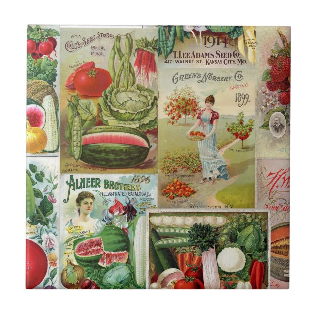 Frucht-und Veggies-Samen-Katalog-Collage Fliese (Vorderseite)