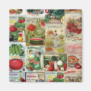Frucht-und Veggies-Samen-Katalog-Collage Magnet