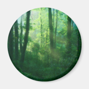 Fruchtbarkeitsmagnet Magnet