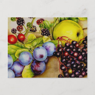 Früchte aus der Hedgerow fruchtig schöne Kunst Pos Postkarte