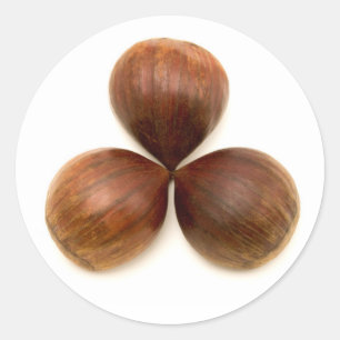 Früchte aus süßen Kastanien Runder Aufkleber