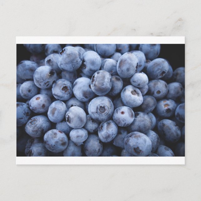 Früchte Blueberries Snack Obstbeeren Postkarte (Vorderseite)