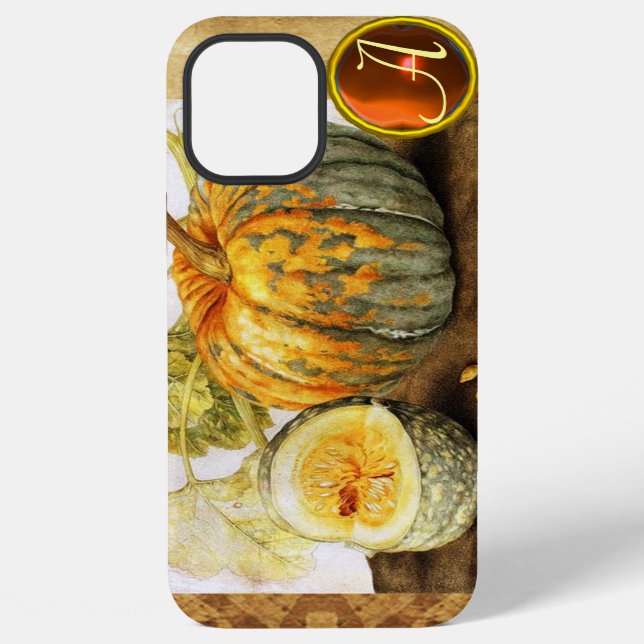 FRÜCHTE DER SAISON  / KÜRBISSE MONOGRAMM iPhone HÜLLE (Rückseite)