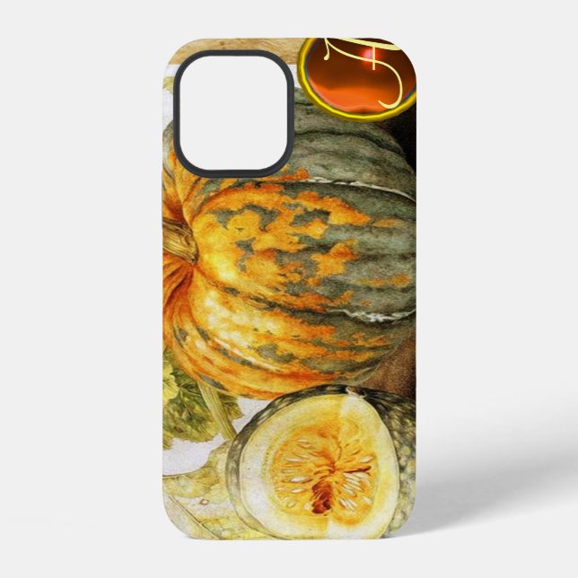 FRÜCHTE DER SAISON  / KÜRBISSE MONOGRAMM iPhone HÜLLE (Rückseite)